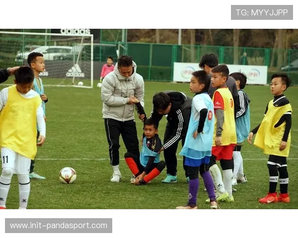 法布雷加斯投身青训教材编写 助力青少年足球教育获广泛好评